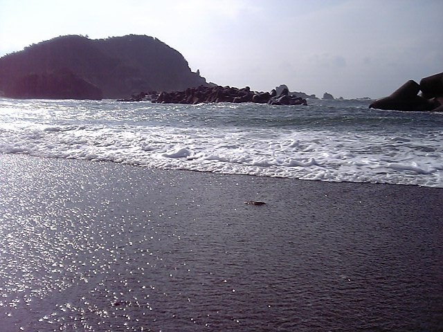 20060316～神島 (15)