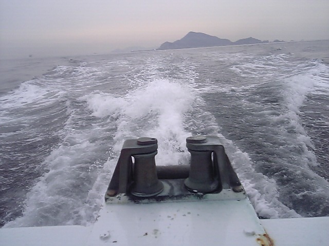 20060316～神島 (19)