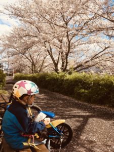 瀬田の長沢川の桜が満開でした！